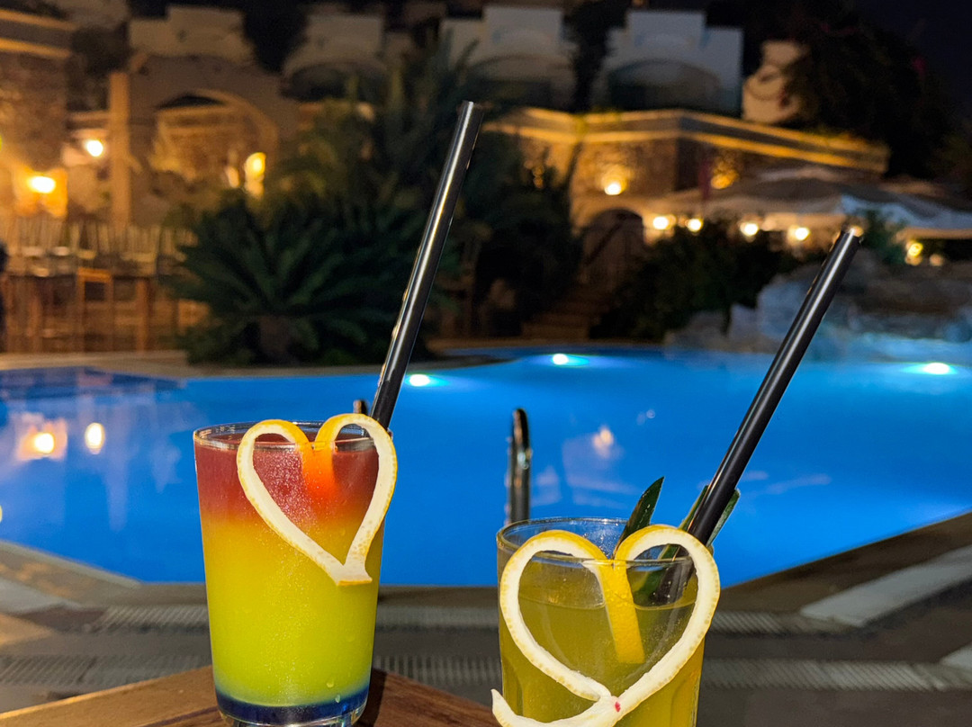 皇家阿萨里克 Spa 海滩酒店 - 全包式主图