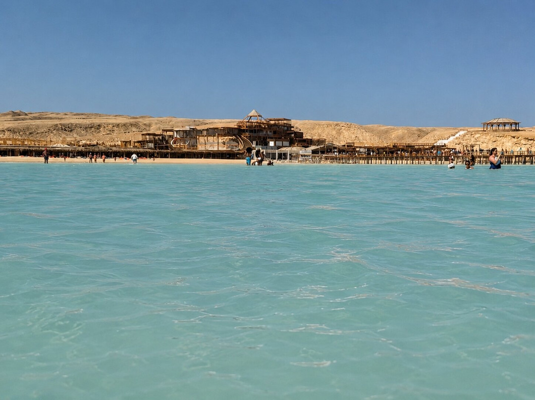 Albatross Travel Egypt