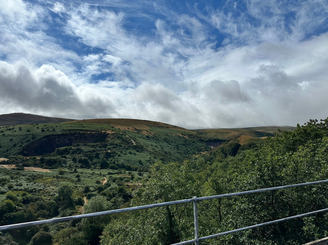 Meldon Viaduct-Graddon Cross必去景点