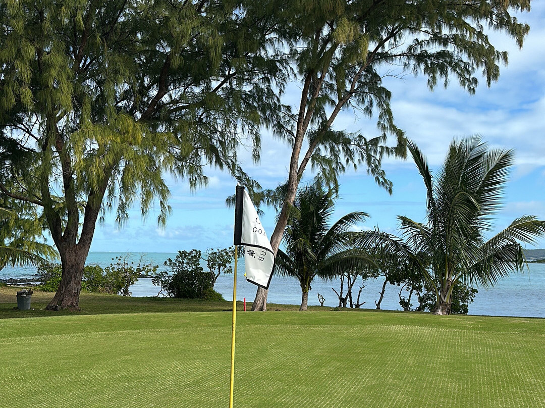 Calypso boat tours Mauritius-蓝湾必去景点