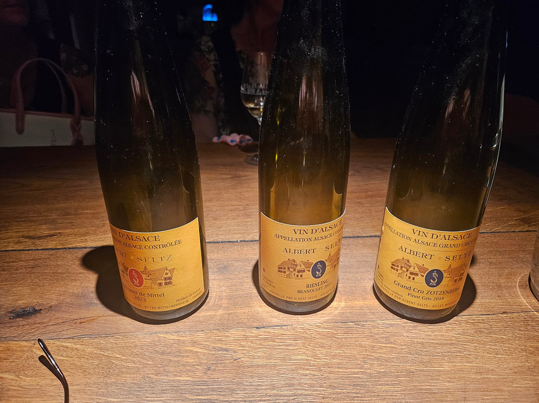 Domaine Albert Seltz-米特贝汉必去景点
