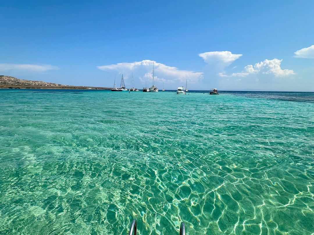 Asinara Charter Service-斯廷蒂诺必去景点
