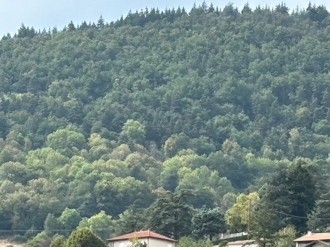Parc Naturel Régional du Pilat-Pelussin必去景点