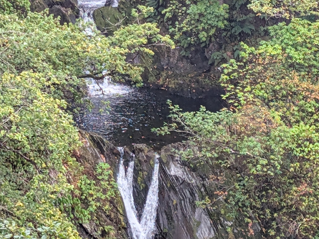 Devil's Bridge Waterfalls-Devil's Bridge (Pontarfynach)必去景点