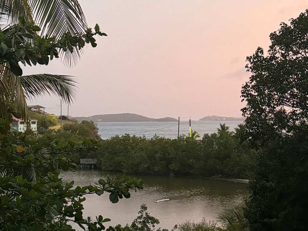 Garden by the Sea B&B主图