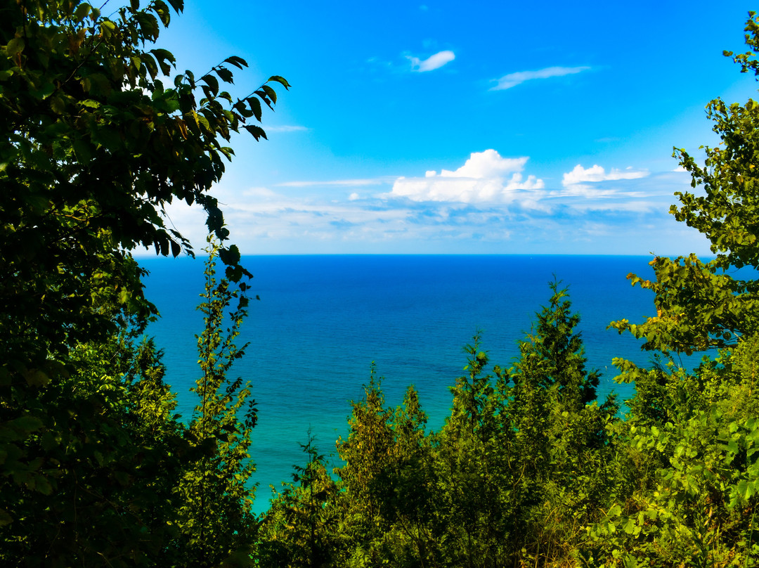Arcadia Dunes CS Mott Nature Preserve-Arcadia必去景点