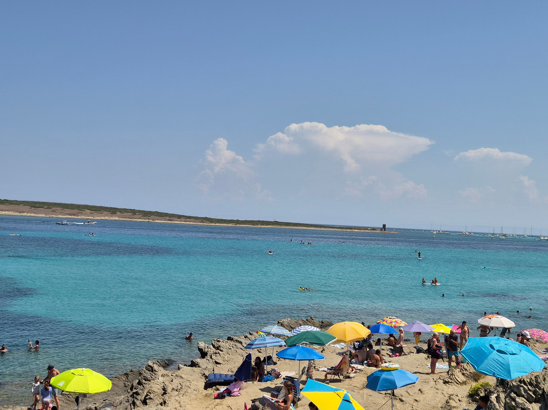 Spiaggia della Pelosetta-斯廷蒂诺必去景点
