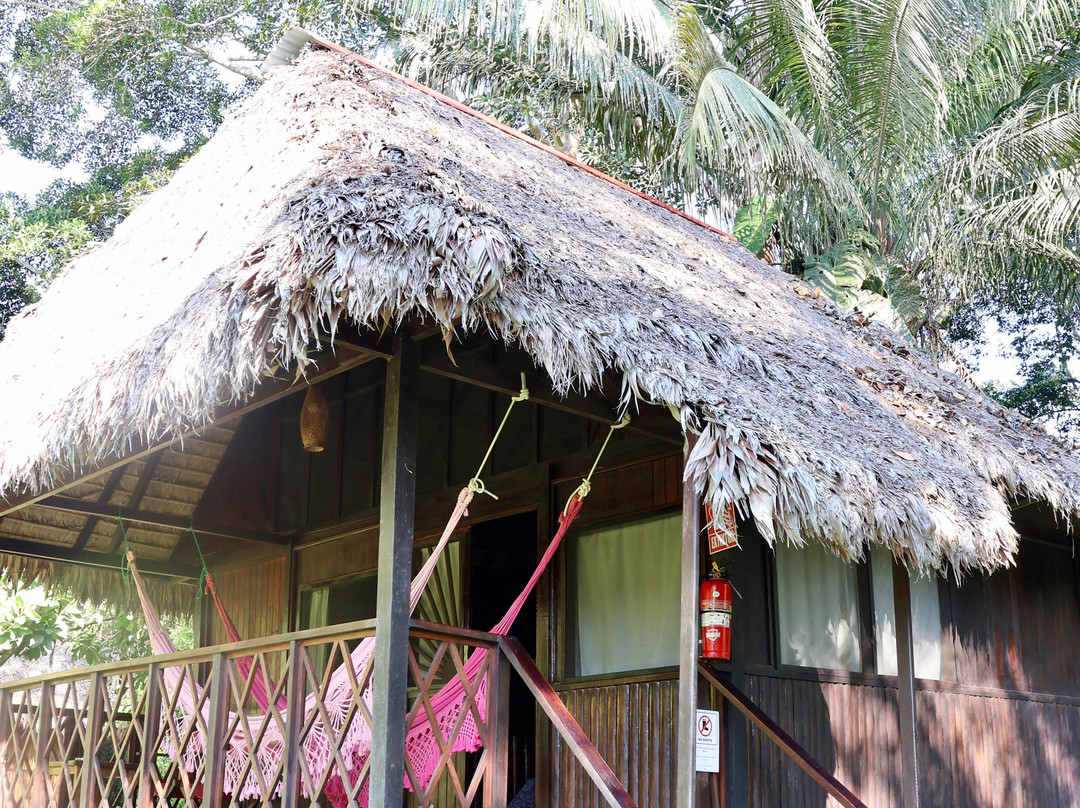 Corto Maltes Amazonia Lodge主图