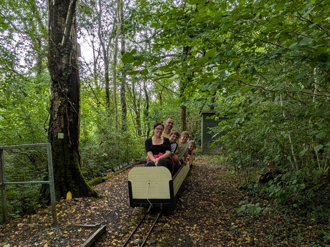 Teifi Valley Railway-Llandysul必去景点