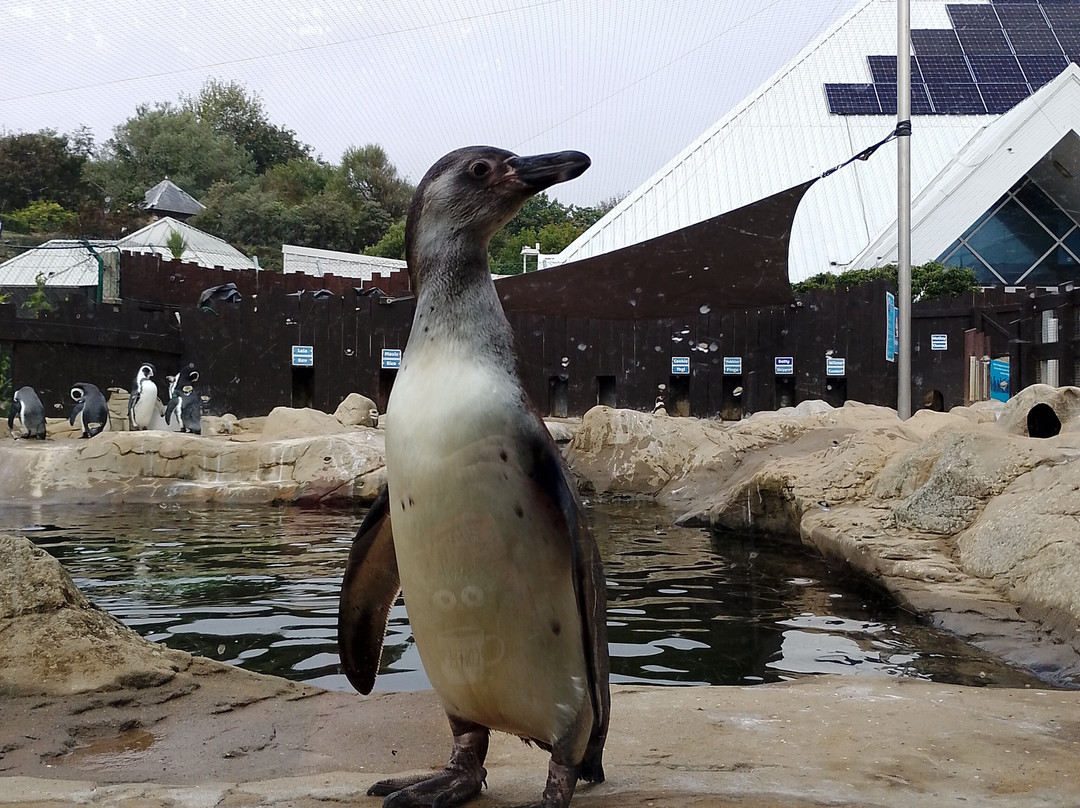 Sea Life Scarborough-斯卡伯勒必去景点