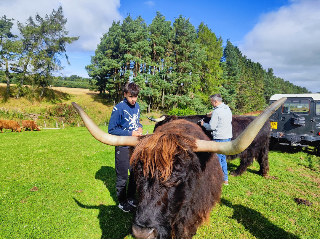 Newton Farm Holidays & Tours主图