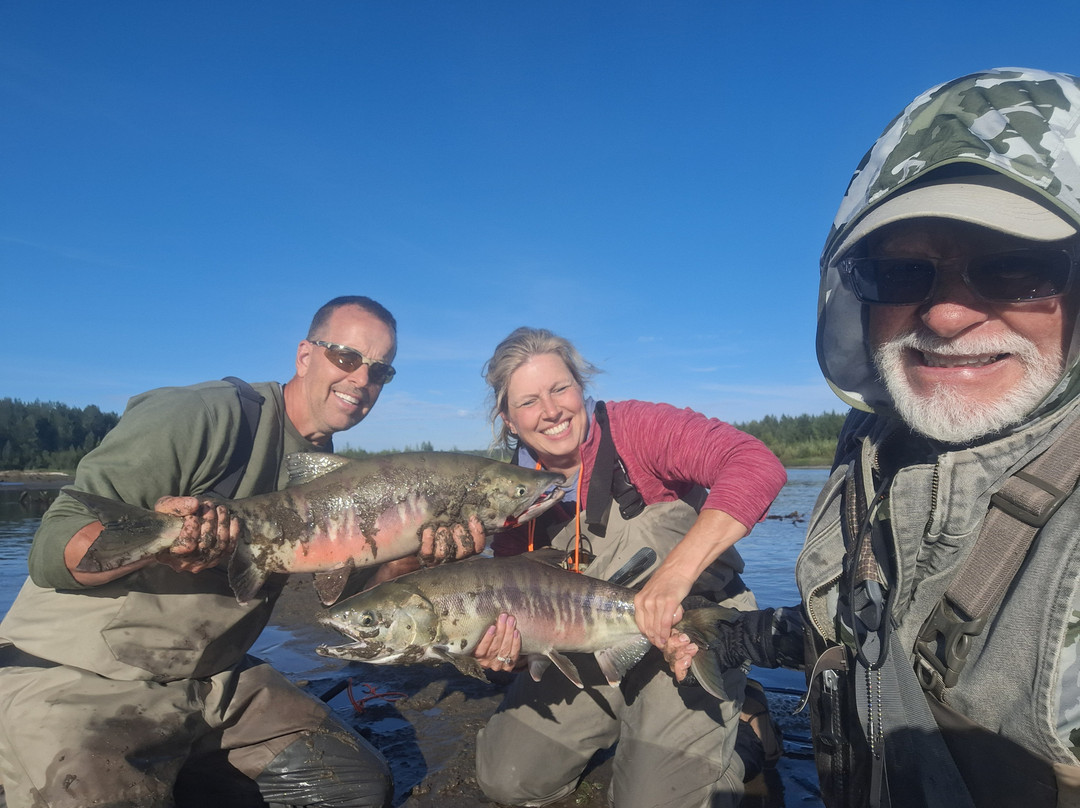 Alaska Edge Wilderness Tours-塔尔基特纳必去景点