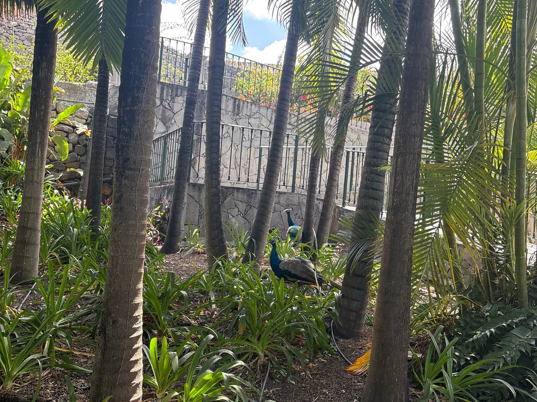 Jardines de la Marquesa-Arucas必去景点