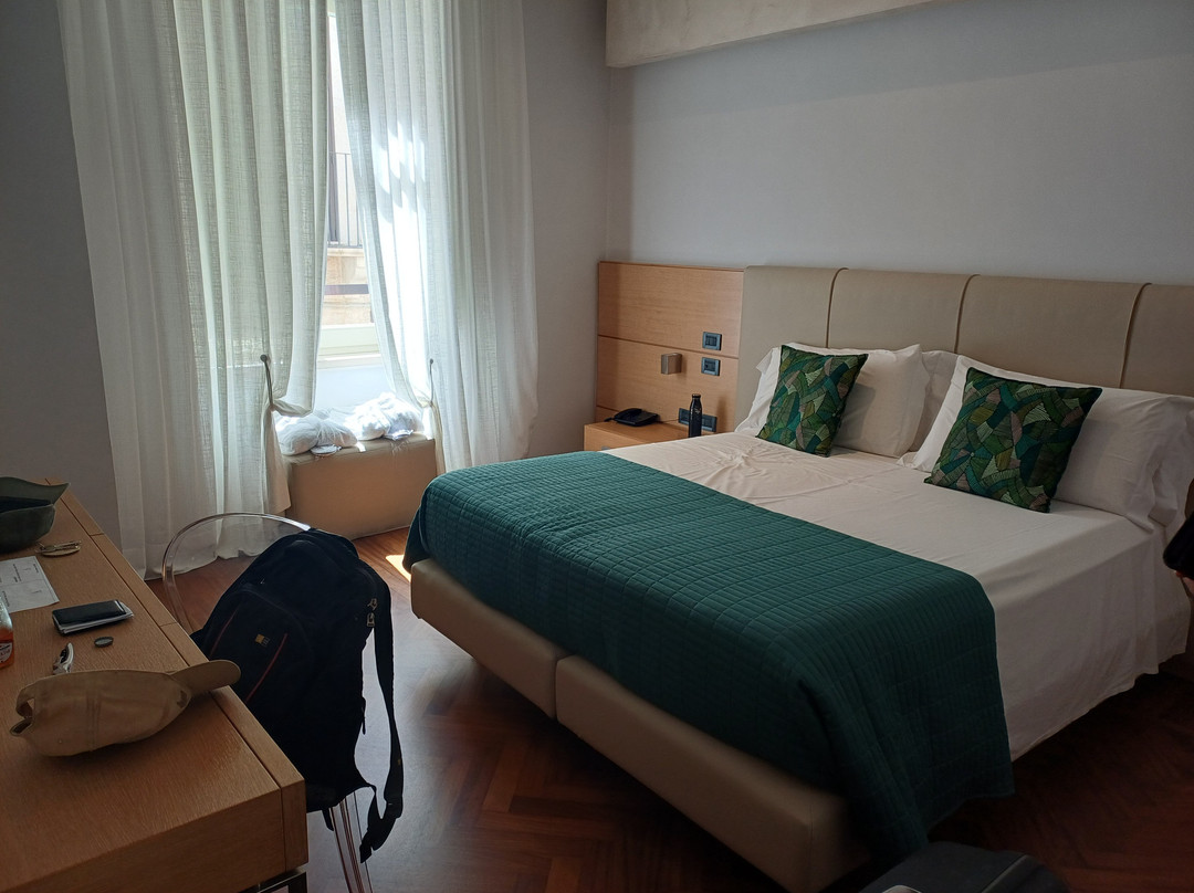 菲利希奥皇宫酒店主图
