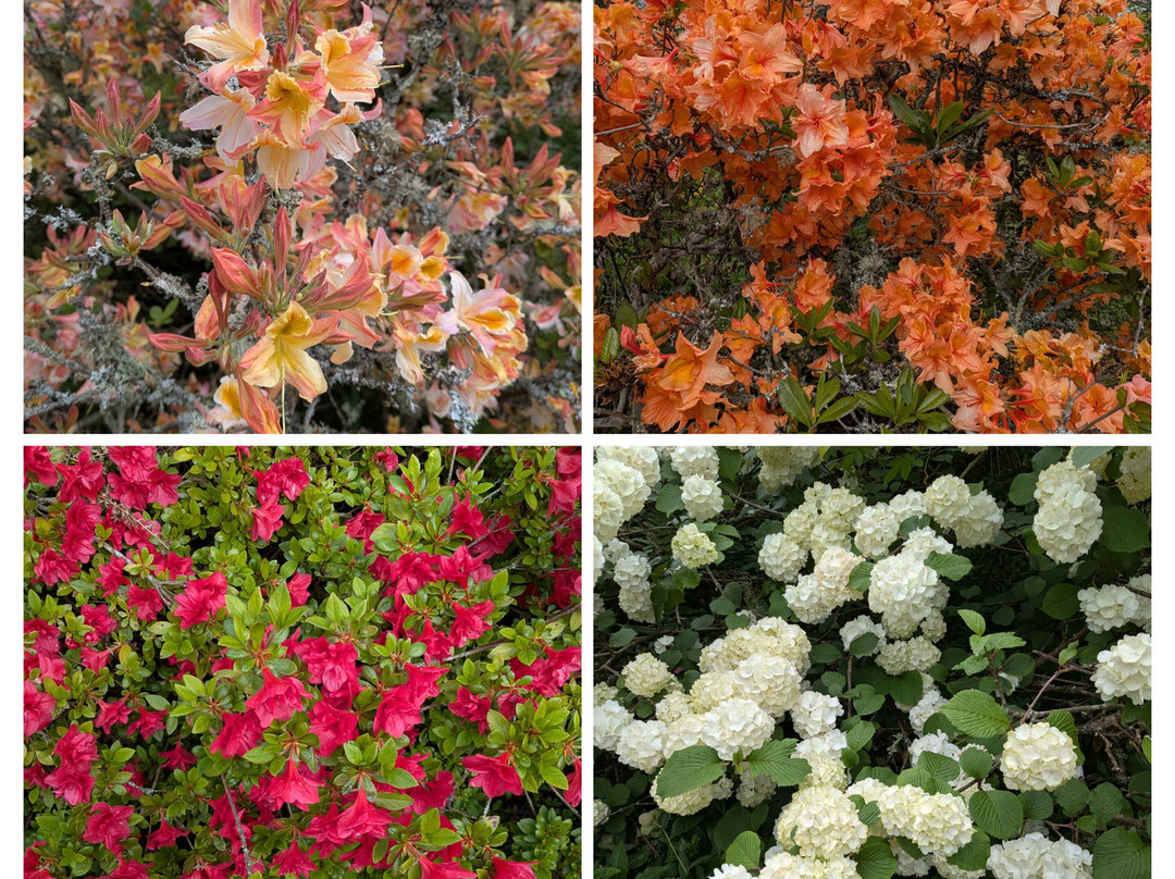 Borde Hill Garden-Haywards Heath必去景点