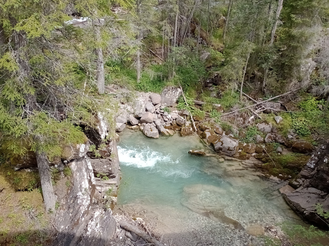 Parco Paneveggio - Pale di San Martino-普雷达佐必去景点