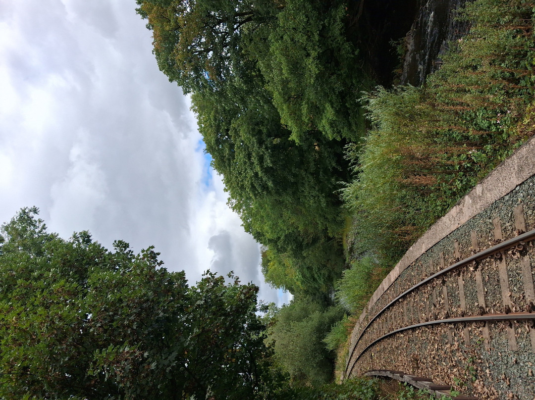 Welshpool and Llanfair Light Railway-Welshpool必去景点