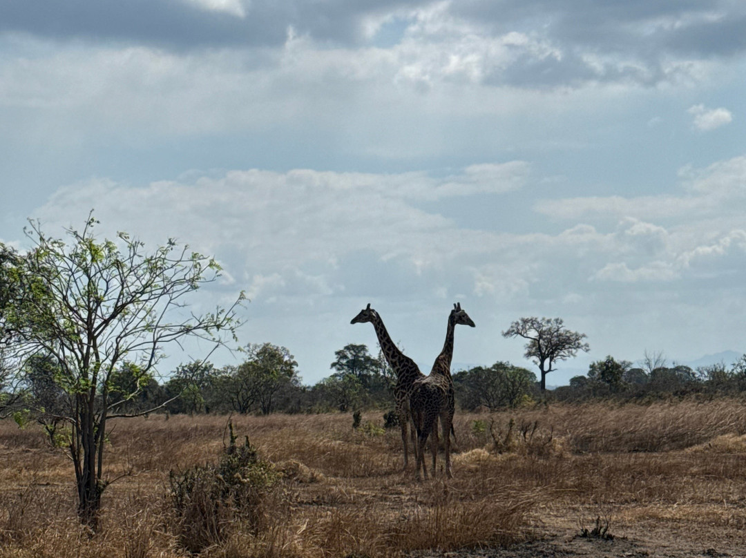 NICE ADVENTURE SAFARI-Dar es Salaam必去景点