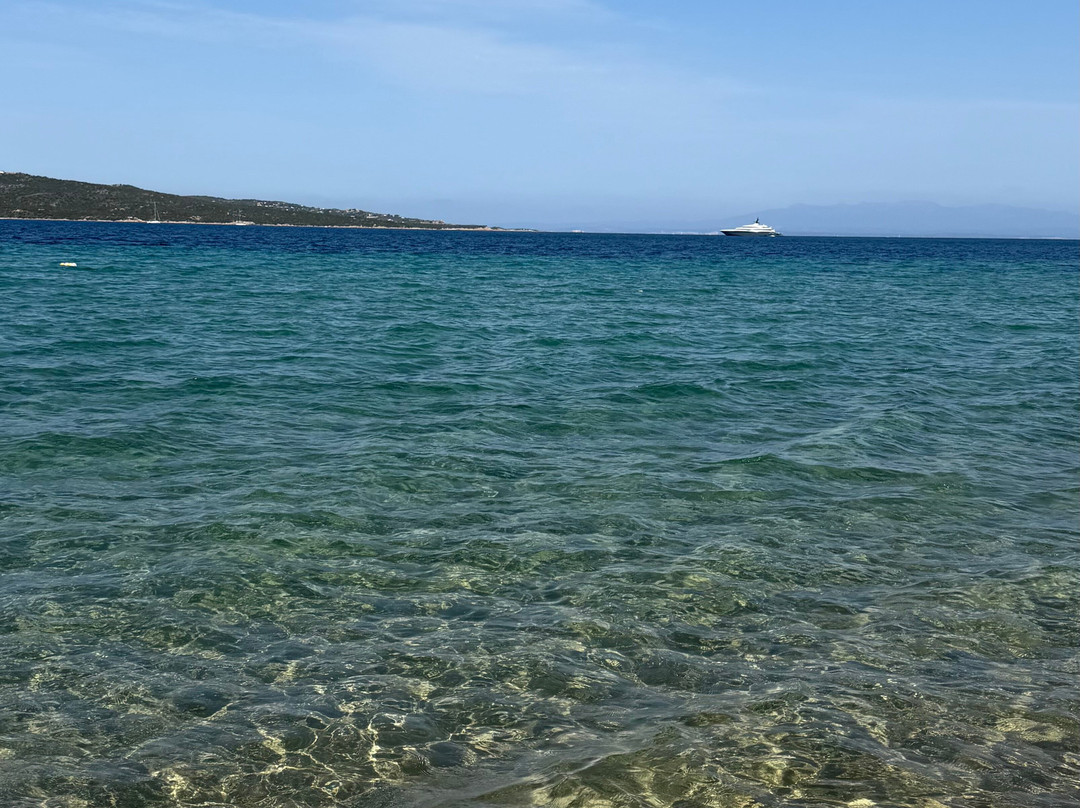 Spiaggia dell'Isola dei Gabbiani (Isuledda)-帕劳必去景点
