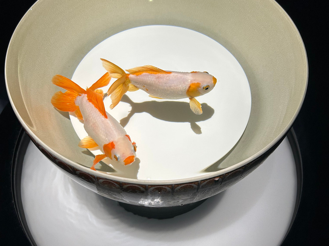 Art Aquarium-Ginza必去景点