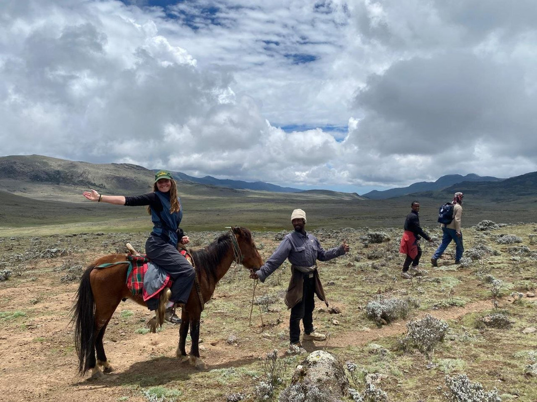 Bale Mountains Trekking Tours Ethiopia-Bale Robe必去景点