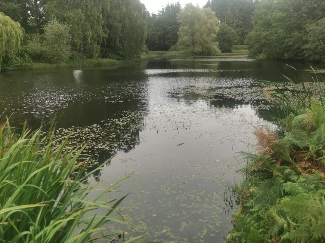 Chillingham Castle-阿尼克必去景点