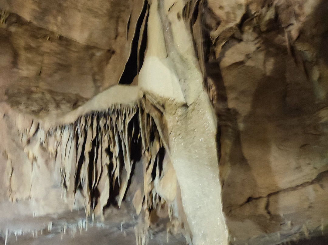 Grottes de Lacave-Lacave必去景点