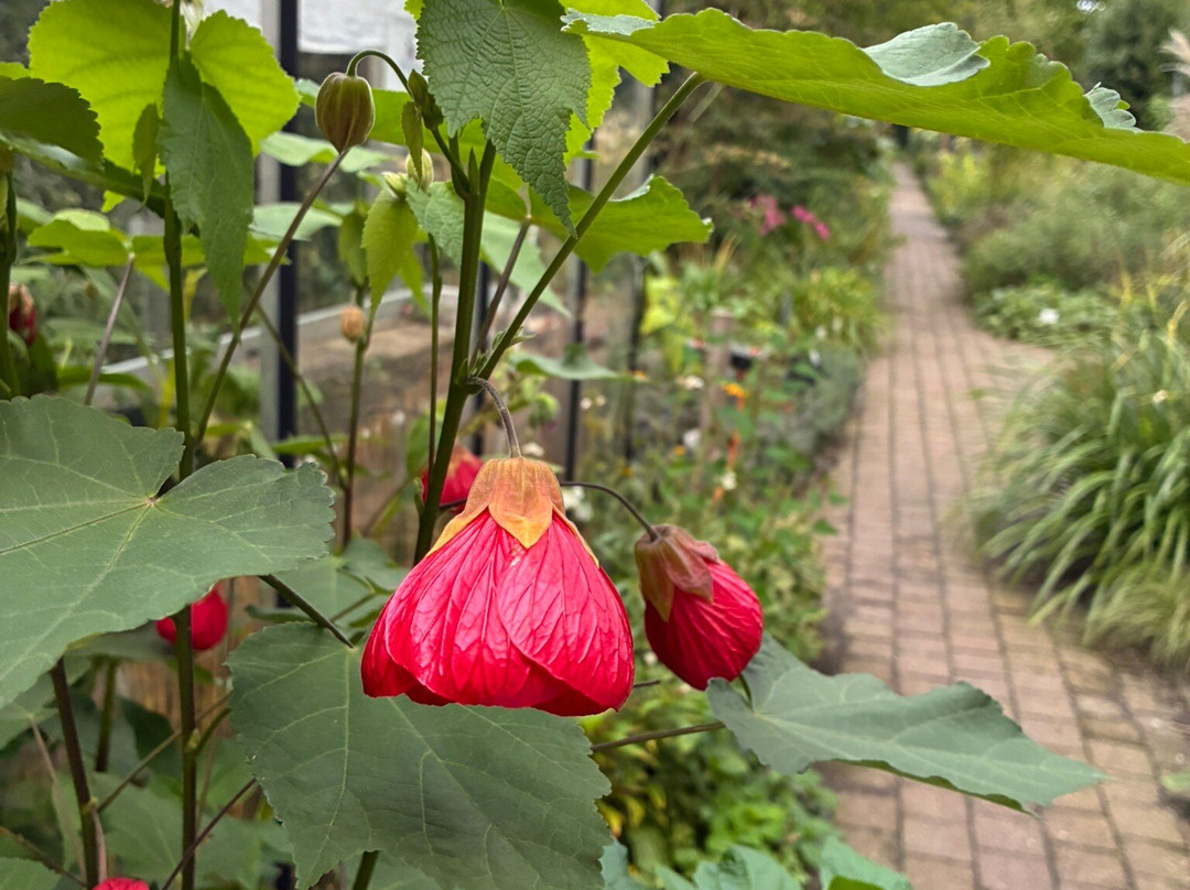 Botanische Tuin Dr. Costerus-Hilversum必去景点