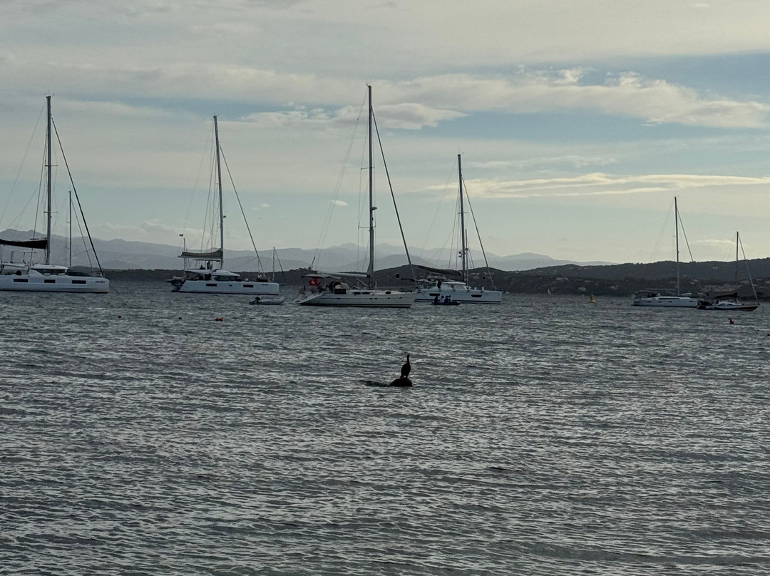 Lungomare Golfo Aranci la sirenetta-Golfo Aranci必去景点