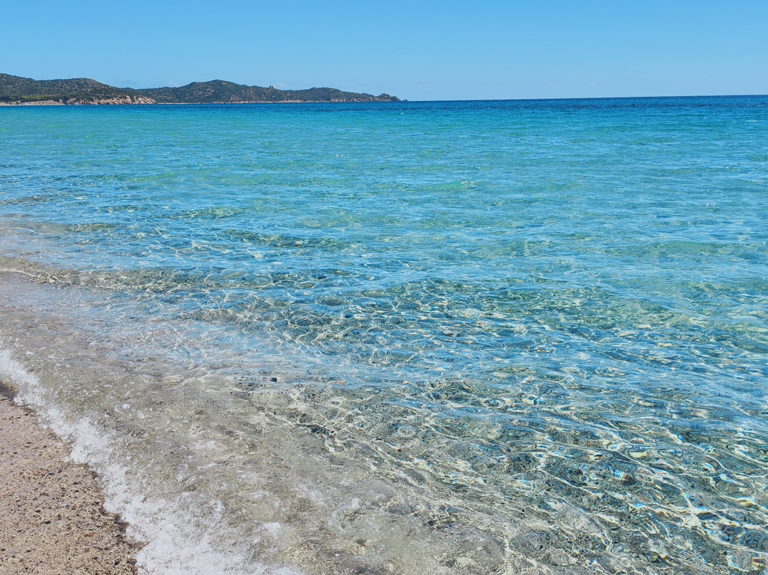 Marina Rey Beach Resort主图