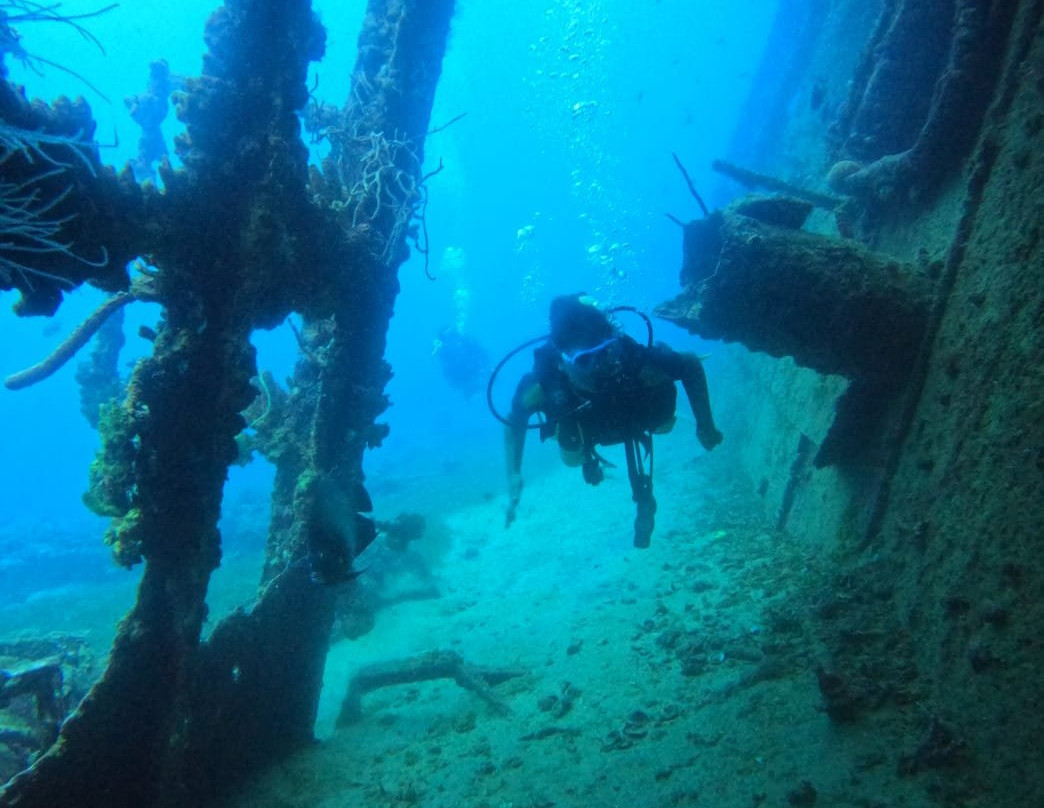 Aruba Premier Boat and Dive-奥腊涅斯塔德必去景点