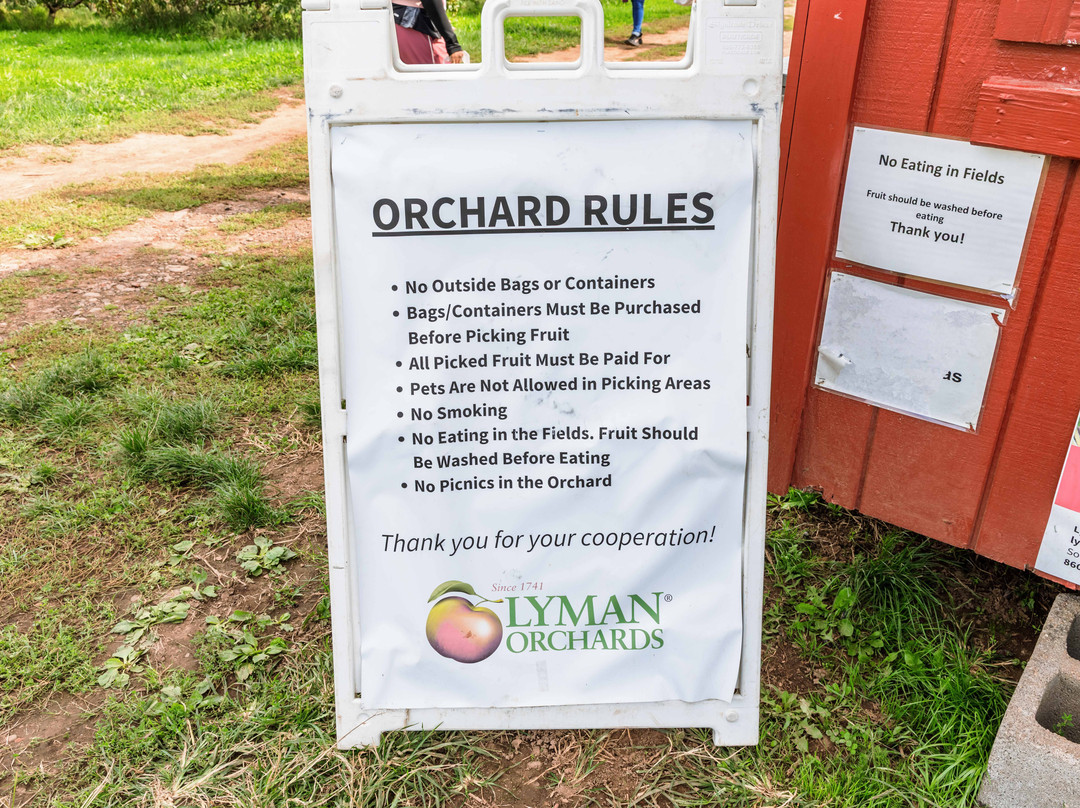 Lyman Orchards-Middlefield必去景点