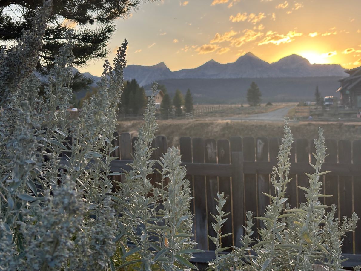 Sawtooth Hotel-旅行者