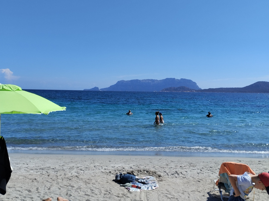 Spiaggia Pittulongu - La Playa-奥尔比亚必去景点
