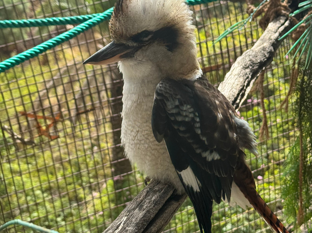 Maroparque Isla de La Palma-Brena Alta必去景点