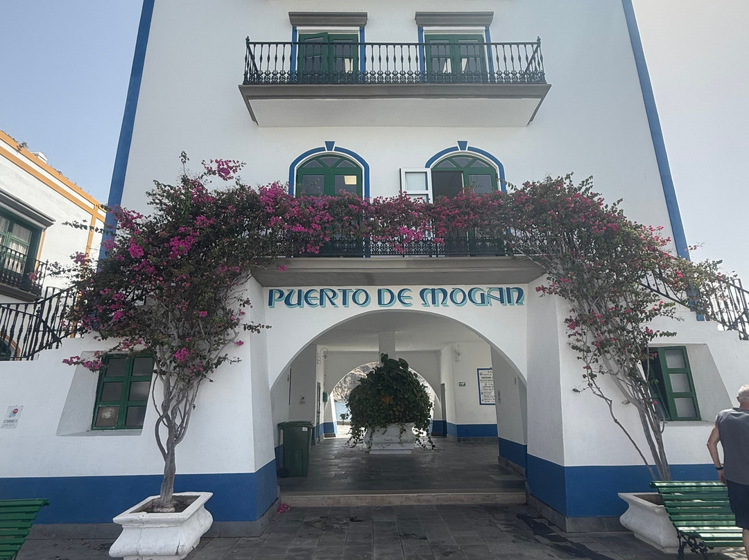 Puerto De Mogán-莫干港必去景点