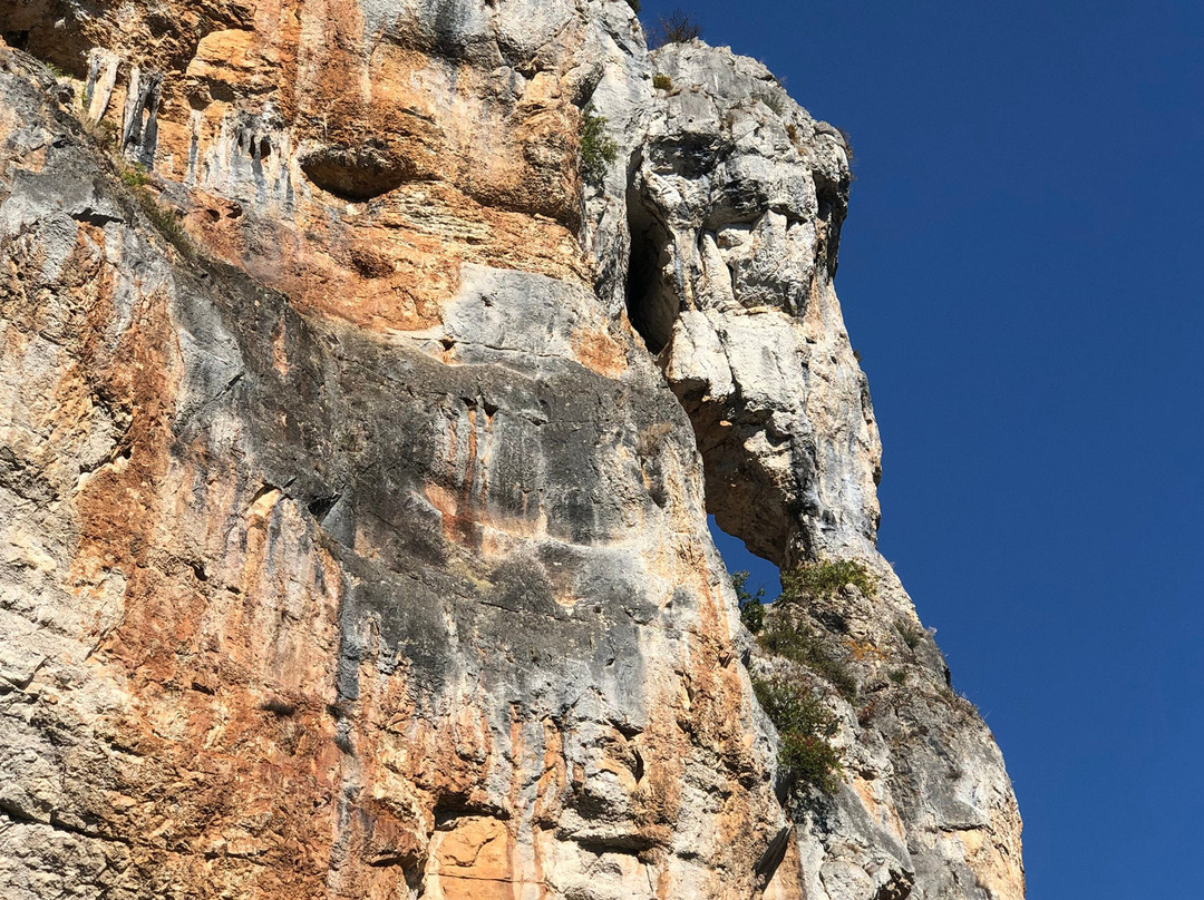 Les Croisieres de Saint Cirq Lapopie-Saint-Cirq-Lapopie必去景点