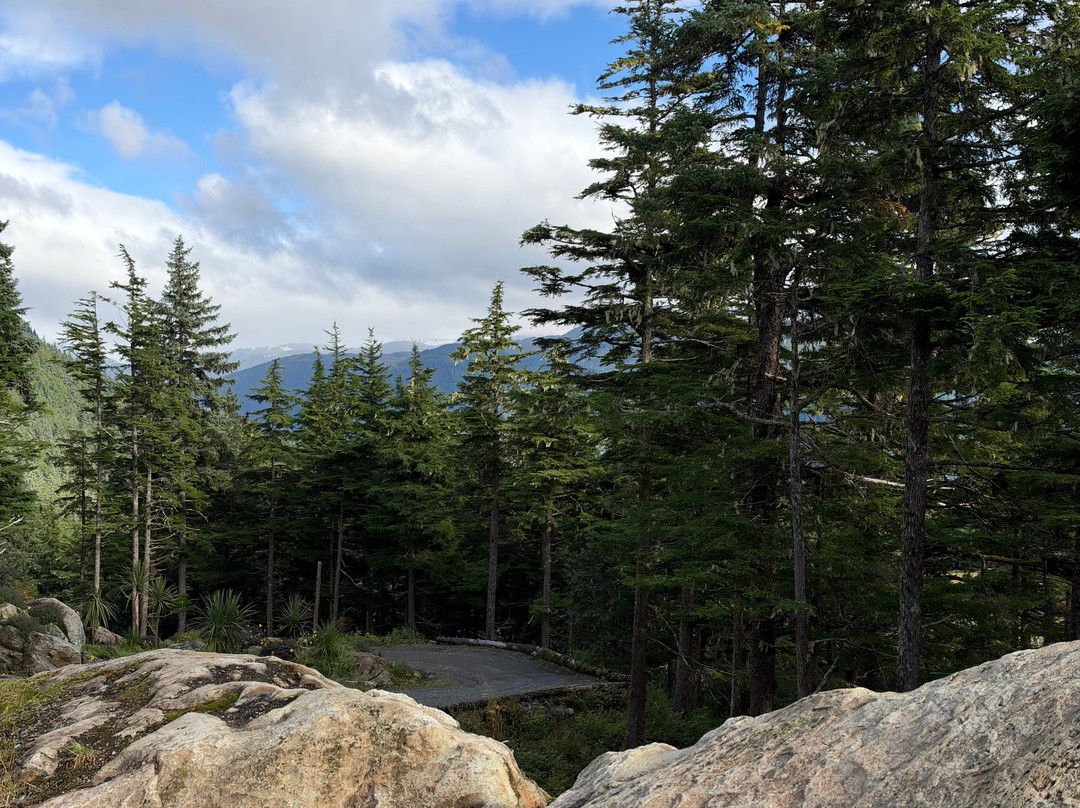 Glacier Gardens Rainforest Adventure-朱诺必去景点