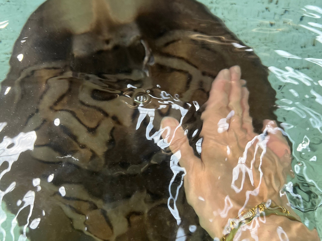 Port Stephens Animal Adventures-Bobs Farm必去景点
