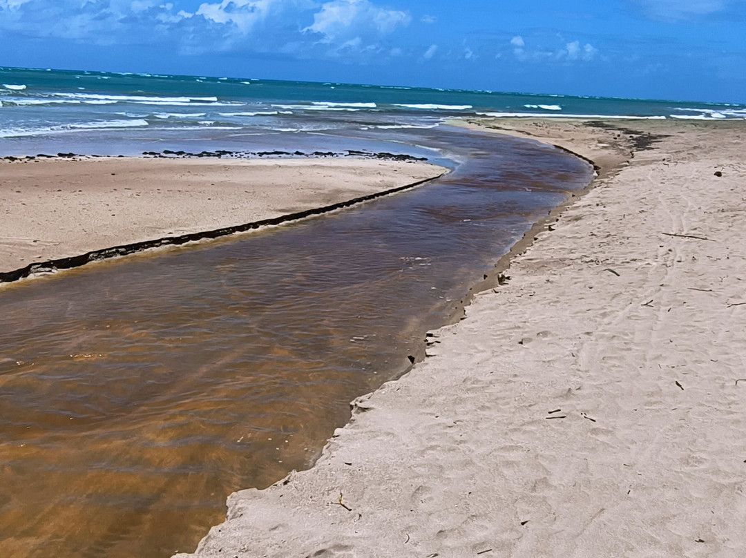 Riacho Beach-Sao Miguel dos Milagres必去景点