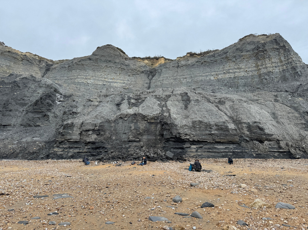Jurassic Coast Guides-Charmouth必去景点