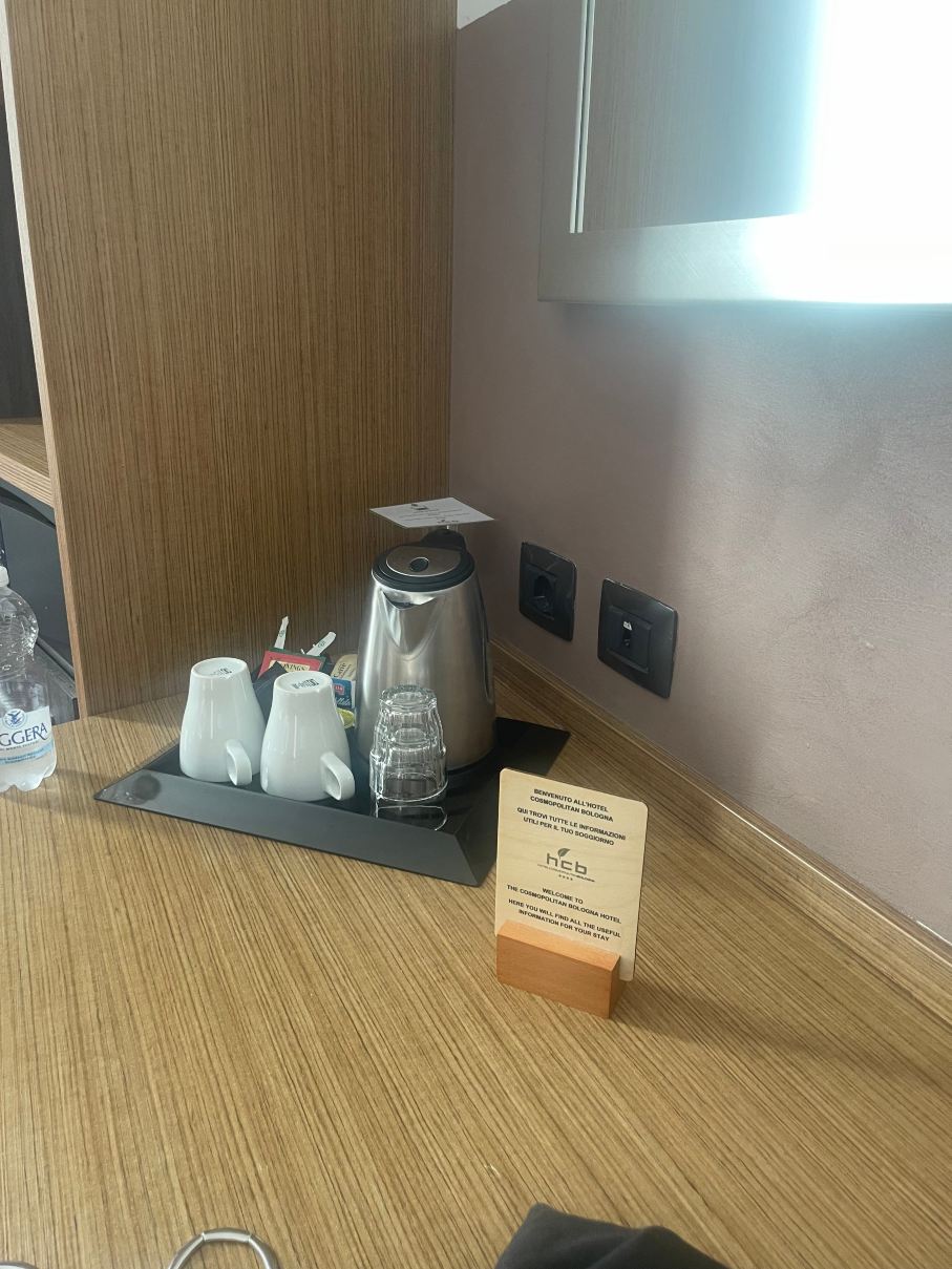 博洛尼亚大都会酒店-旅行者