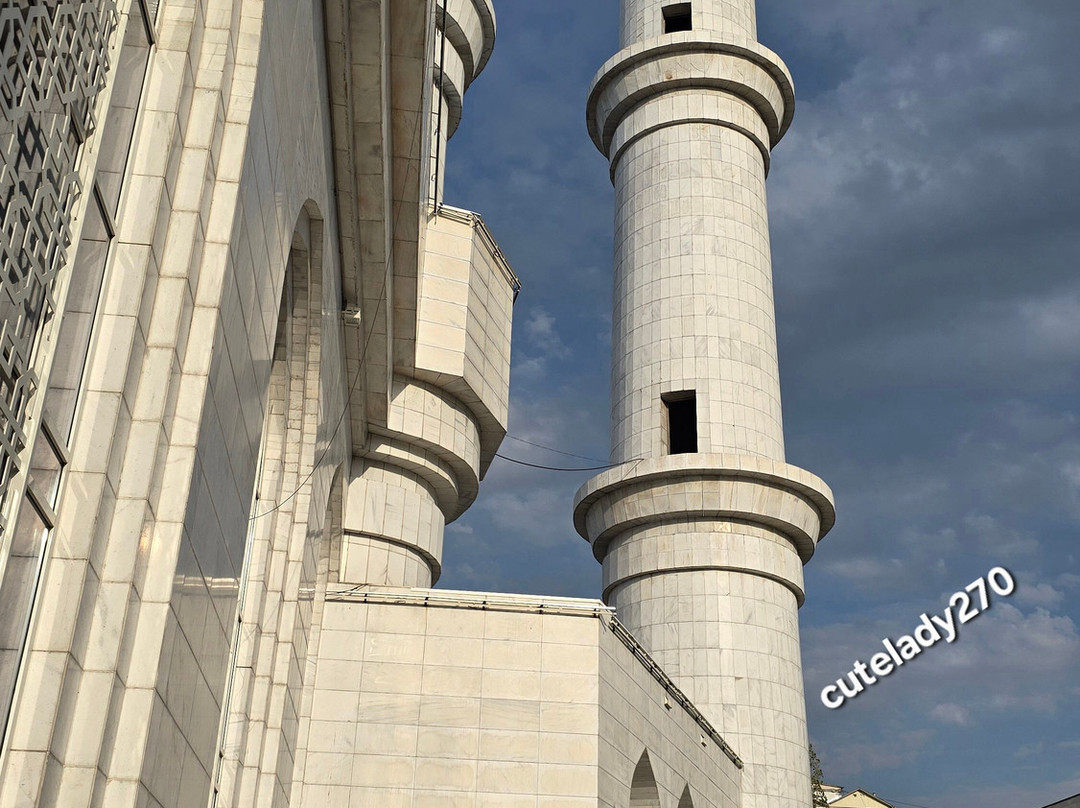 The Central Mosque of Almaty-阿拉木图必去景点