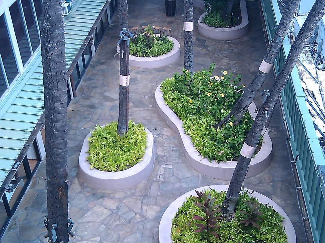 库西欧悦酒店主图