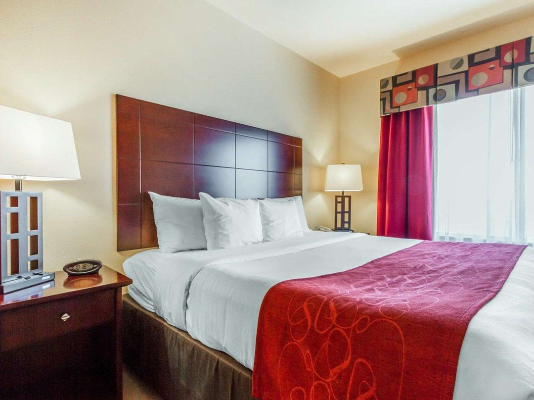 Comfort Suites Florence Shoals Area主图