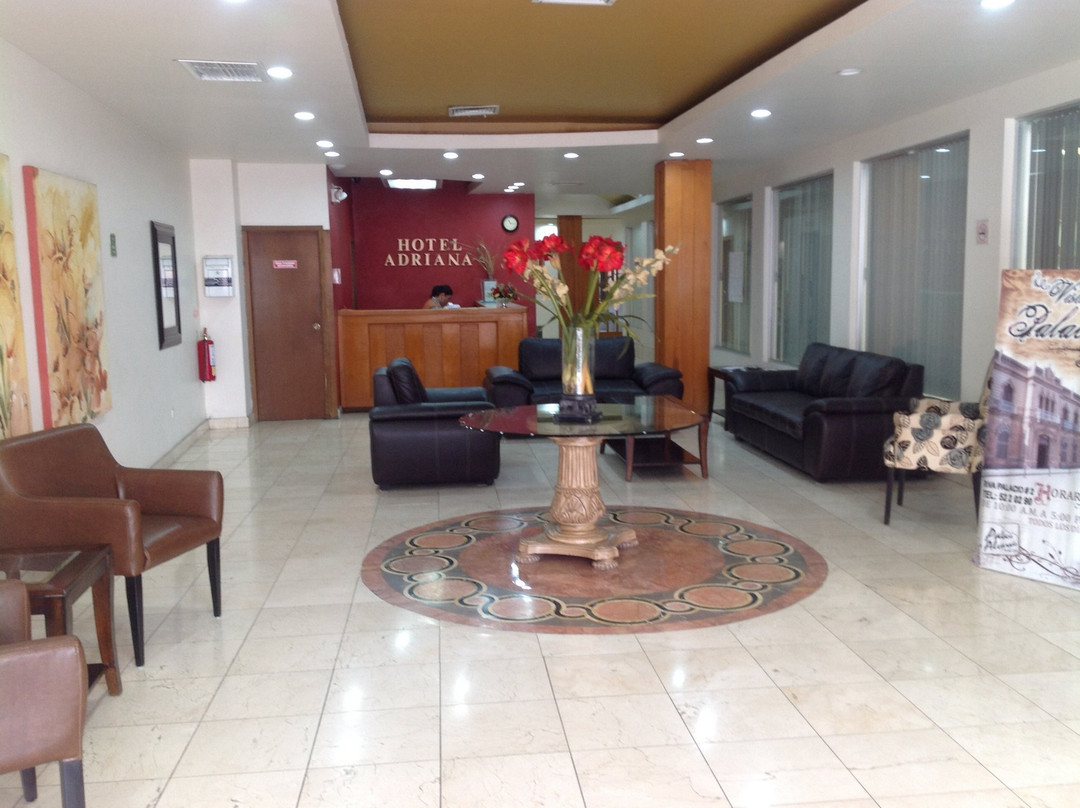 Hidalgo del Parral酒店住宿-Hotel Adriana