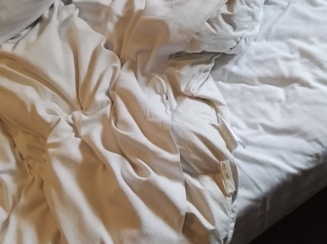 上海申花连锁酒店新国际博览中心花木店主图