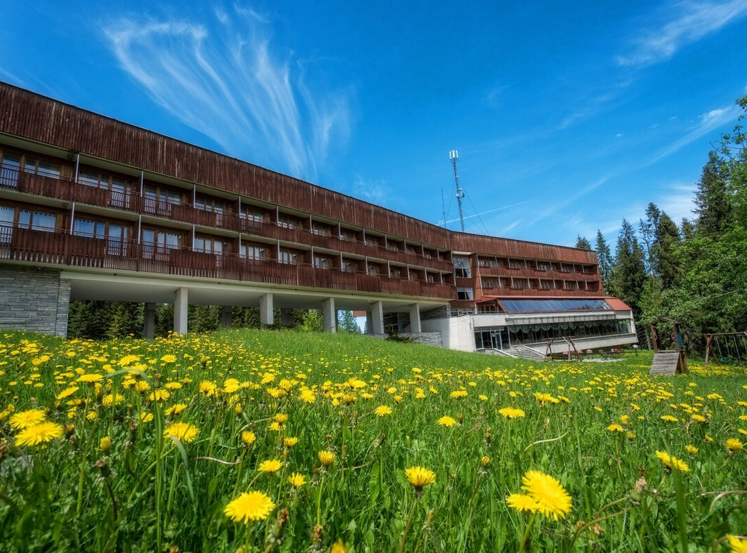 Murzasichle酒店住宿-Tatry Hotel
