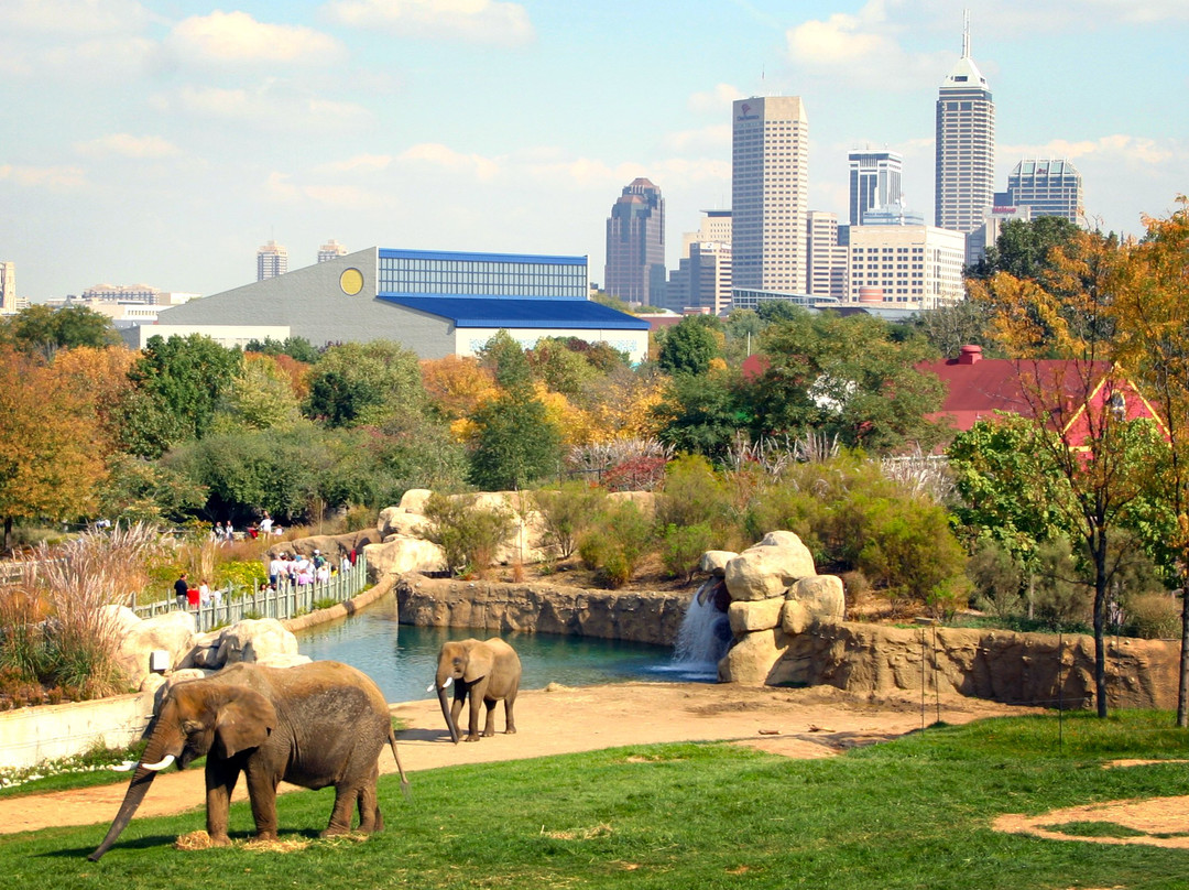 Indianapolis Zoo景点图片