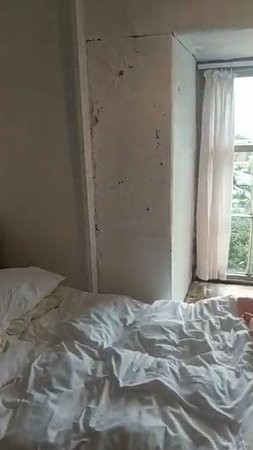 Aber House B&B Barmouth主图